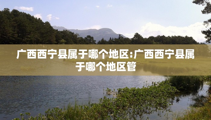 广西西宁县属于哪个地区:广西西宁县属于哪个地区管