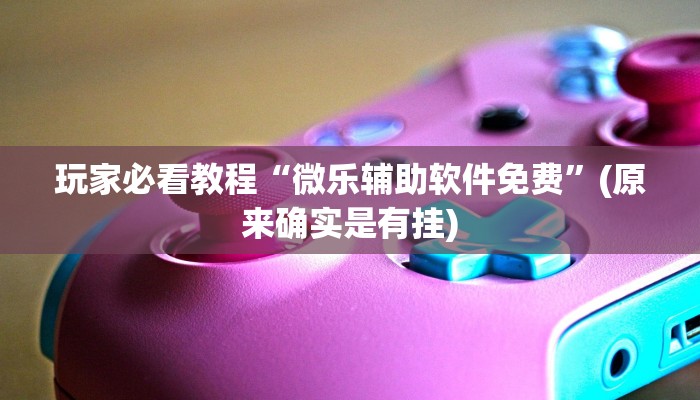 玩家必看教程“微乐辅助软件免费”(原来确实是有挂)