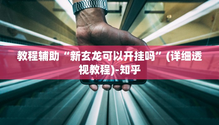 教程辅助“新玄龙可以开挂吗”(详细透视教程)-知乎