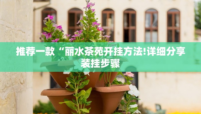 推荐一款“丽水茶苑开挂方法!详细分享装挂步骤