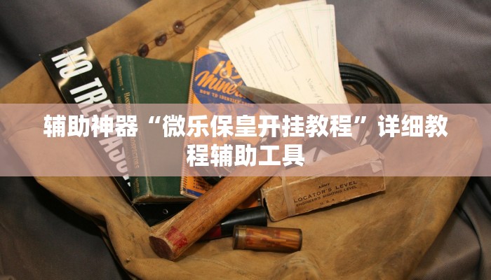 辅助神器“微乐保皇开挂教程”详细教程辅助工具