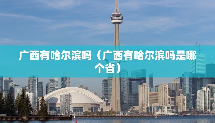 广西有哈尔滨吗（广西有哈尔滨吗是哪个省）