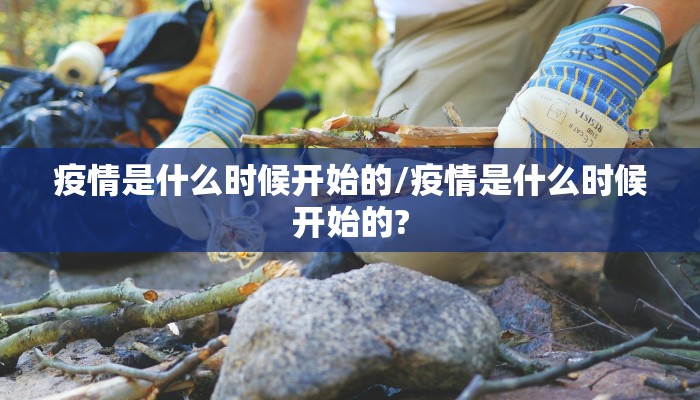 疫情是什么时候开始的/疫情是什么时候开始的?