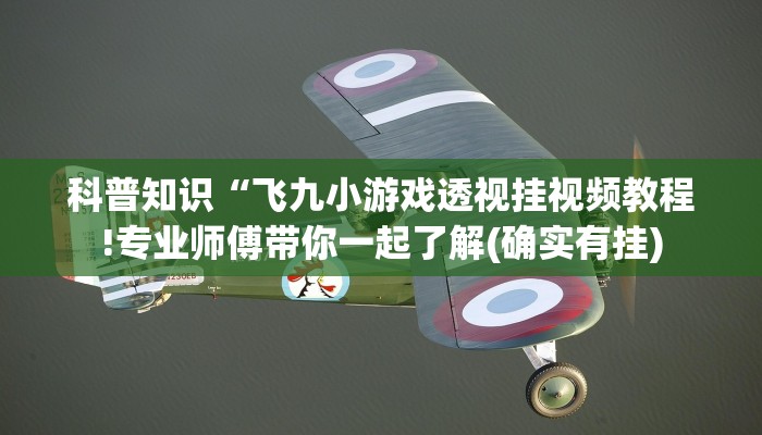 科普知识“飞九小游戏透视挂视频教程!专业师傅带你一起了解(确实有挂)