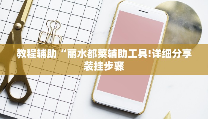 教程辅助“丽水都莱辅助工具!详细分享装挂步骤