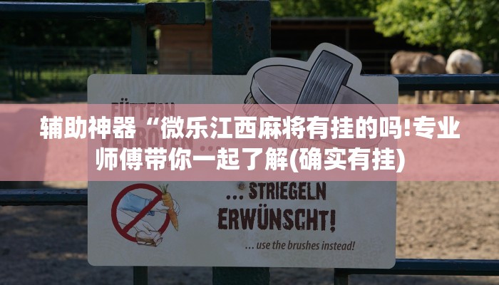 辅助神器“微乐江西麻将有挂的吗!专业师傅带你一起了解(确实有挂)