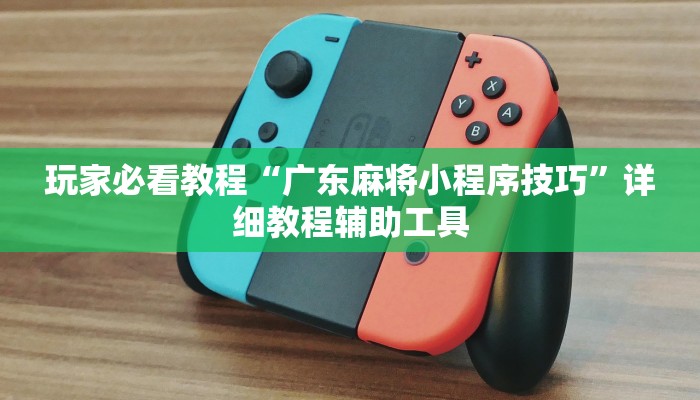 玩家必看教程“广东麻将小程序技巧”详细教程辅助工具