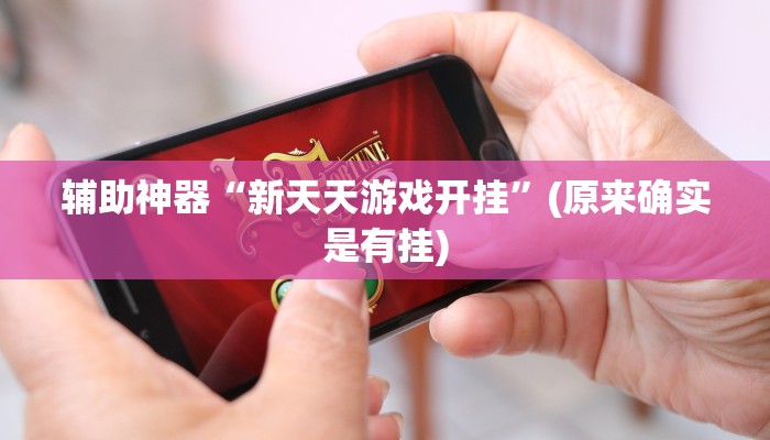 辅助神器“新天天游戏开挂”(原来确实是有挂)