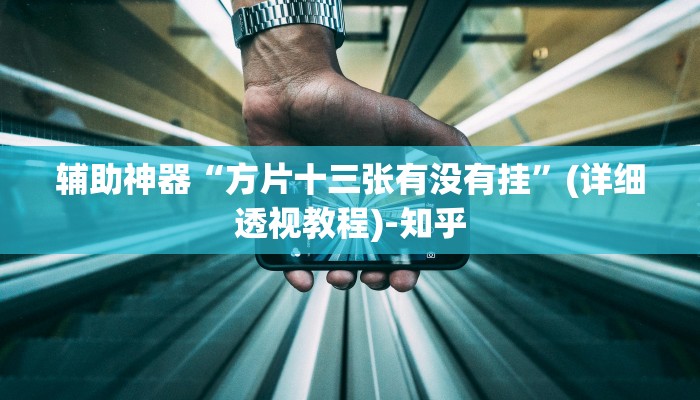 辅助神器“方片十三张有没有挂”(详细透视教程)-知乎