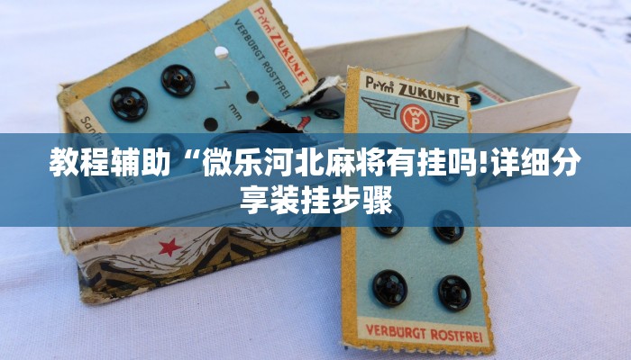 教程辅助“微乐河北麻将有挂吗!详细分享装挂步骤