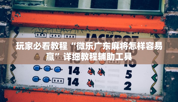玩家必看教程“微乐广东麻将怎样容易赢”详细教程辅助工具