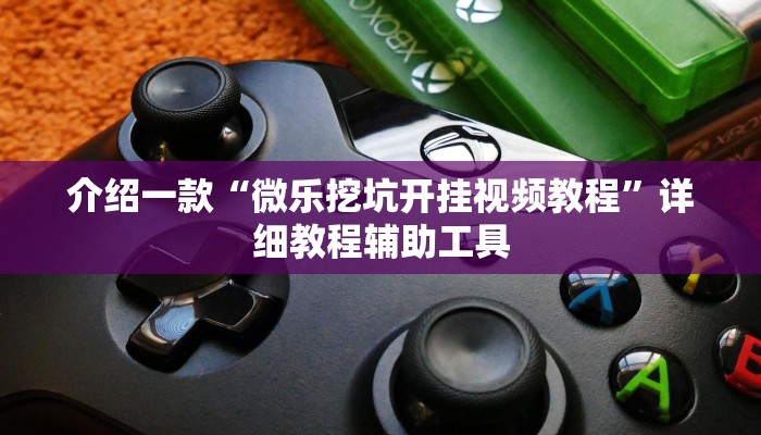 介绍一款“微乐挖坑开挂视频教程”详细教程辅助工具