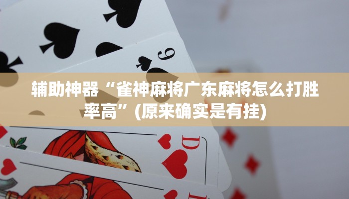 辅助神器“雀神麻将广东麻将怎么打胜率高”(原来确实是有挂)