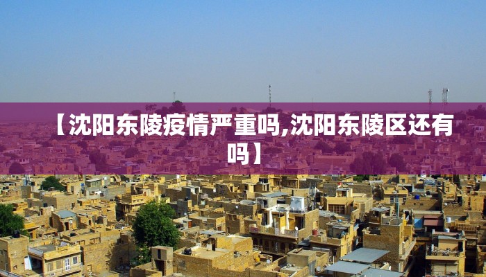 【沈阳东陵疫情严重吗,沈阳东陵区还有吗】
