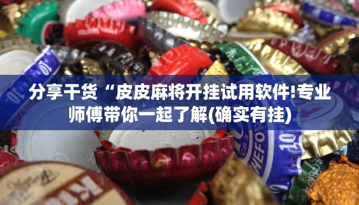 分享干货“皮皮麻将开挂试用软件!专业师傅带你一起了解(确实有挂)