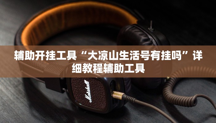 辅助开挂工具“大凉山生活号有挂吗”详细教程辅助工具