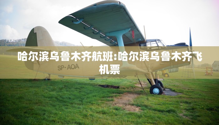 哈尔滨乌鲁木齐航班:哈尔滨乌鲁木齐飞机票