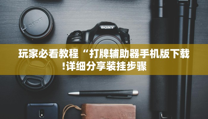 玩家必看教程“打牌辅助器手机版下载!详细分享装挂步骤