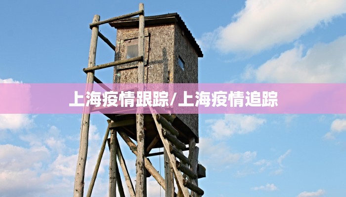 上海疫情跟踪/上海疫情追踪