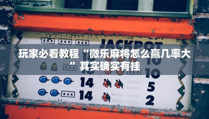 玩家必看教程“微乐麻将怎么赢几率大”其实确实有挂