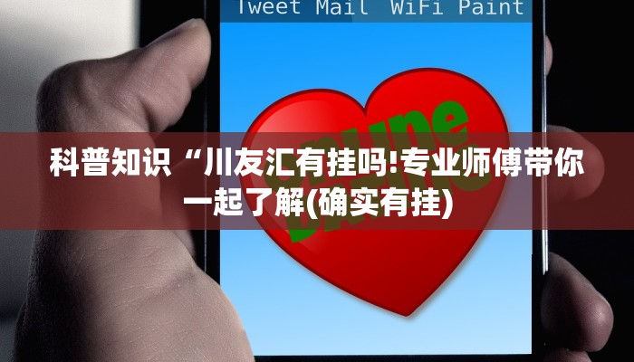 科普知识“川友汇有挂吗!专业师傅带你一起了解(确实有挂)