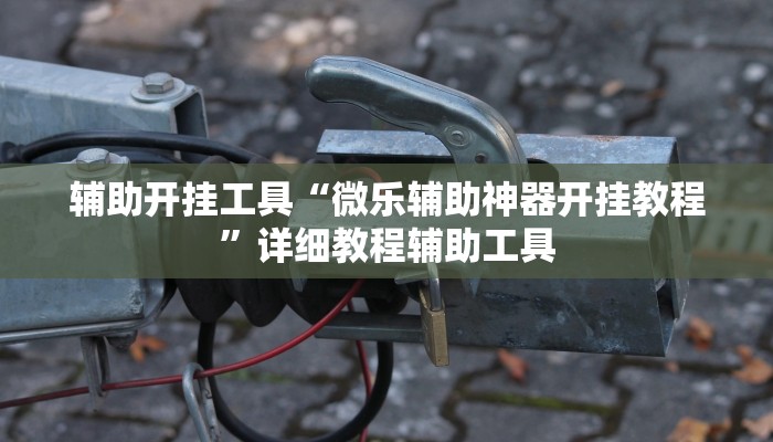 辅助开挂工具“微乐辅助神器开挂教程”详细教程辅助工具
