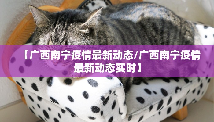 【广西南宁疫情最新动态/广西南宁疫情最新动态实时】