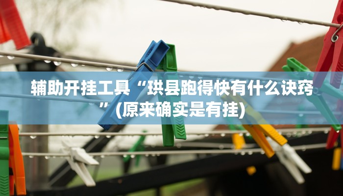辅助开挂工具“珙县跑得快有什么诀窍”(原来确实是有挂)