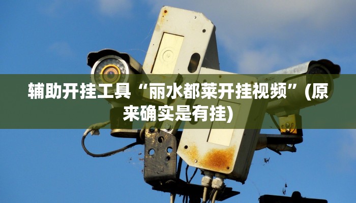 辅助开挂工具“丽水都莱开挂视频”(原来确实是有挂)