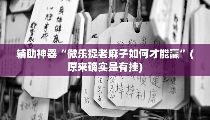辅助神器“微乐捉老麻子如何才能赢”(原来确实是有挂)