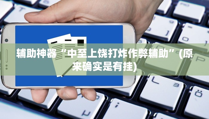 辅助神器“中至上饶打炸作弊辅助”(原来确实是有挂)