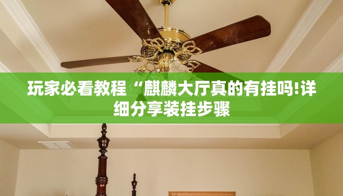 玩家必看教程“麒麟大厅真的有挂吗!详细分享装挂步骤