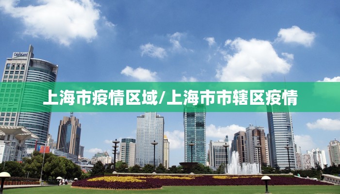 上海市疫情区域/上海市市辖区疫情