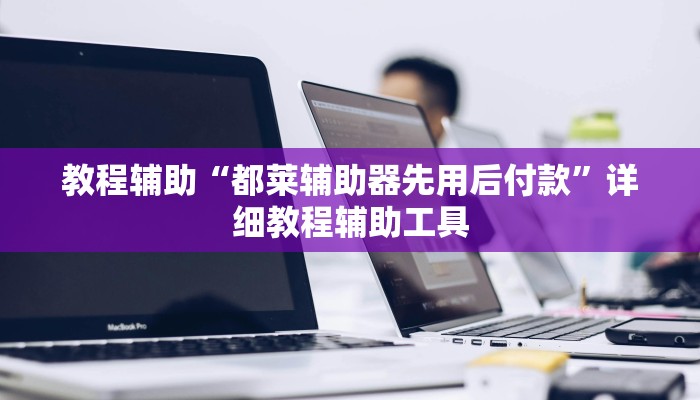 教程辅助“都莱辅助器先用后付款”详细教程辅助工具