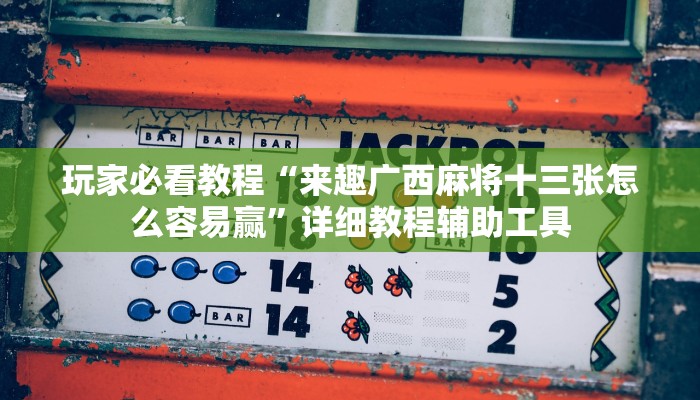 玩家必看教程“来趣广西麻将十三张怎么容易赢”详细教程辅助工具
