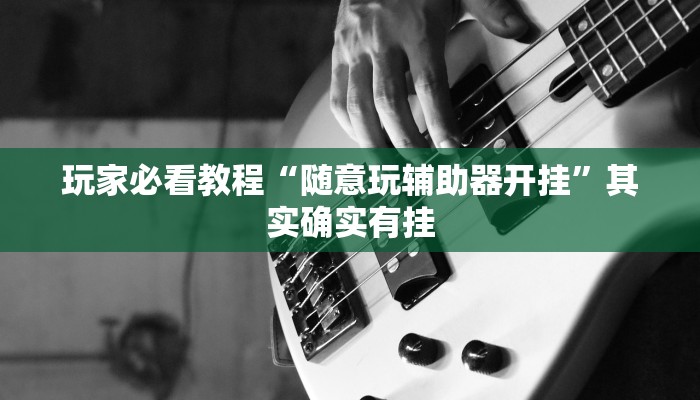 玩家必看教程“随意玩辅助器开挂”其实确实有挂
