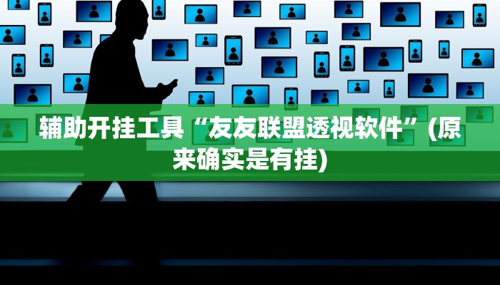 辅助开挂工具“友友联盟透视软件”(原来确实是有挂)