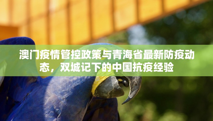 澳门疫情管控政策与青海省最新防疫动态，双城记下的中国抗疫经验
