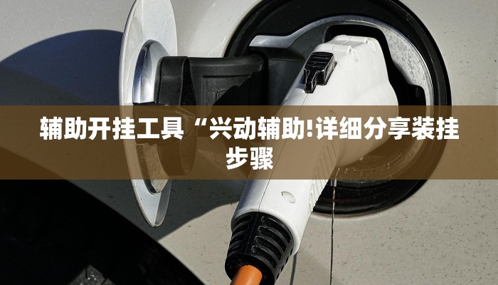 辅助开挂工具“兴动辅助!详细分享装挂步骤