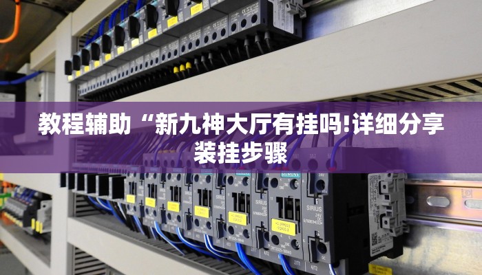 教程辅助“新九神大厅有挂吗!详细分享装挂步骤