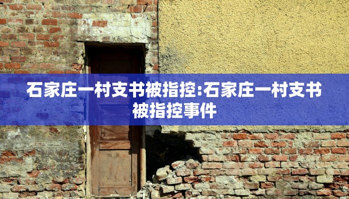 石家庄一村支书被指控:石家庄一村支书被指控事件