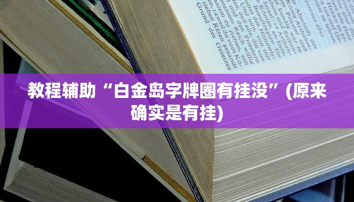 教程辅助“白金岛字牌圈有挂没”(原来确实是有挂)