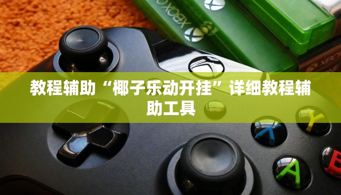 教程辅助“椰子乐动开挂”详细教程辅助工具