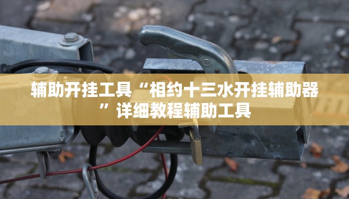 辅助开挂工具“相约十三水开挂辅助器”详细教程辅助工具
