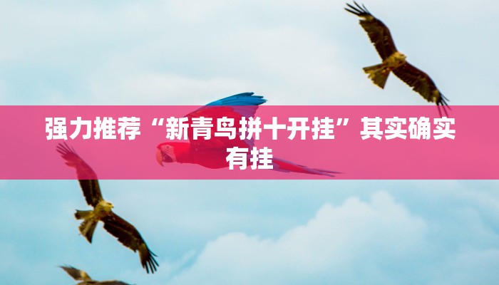 强力推荐“新青鸟拼十开挂”其实确实有挂