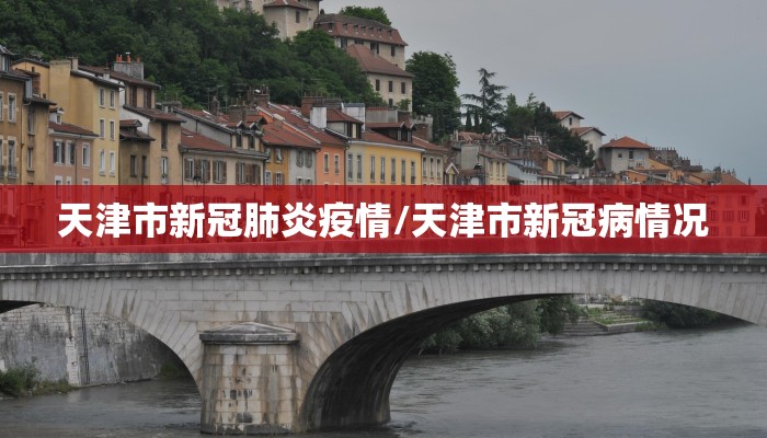 天津市新冠肺炎疫情/天津市新冠病情况