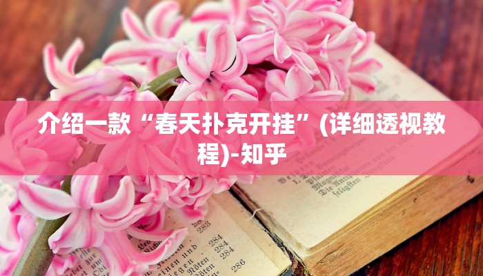 介绍一款“春天扑克开挂”(详细透视教程)-知乎
