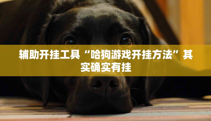辅助开挂工具“哈狗游戏开挂方法”其实确实有挂