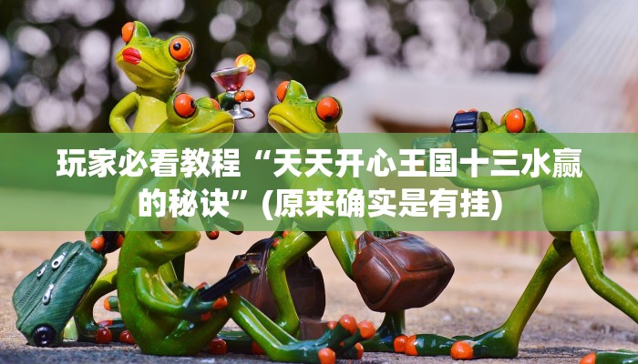 玩家必看教程“天天开心王国十三水赢的秘诀”(原来确实是有挂)