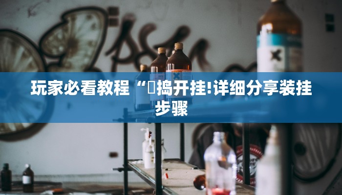 玩家必看教程“玙捣开挂!详细分享装挂步骤